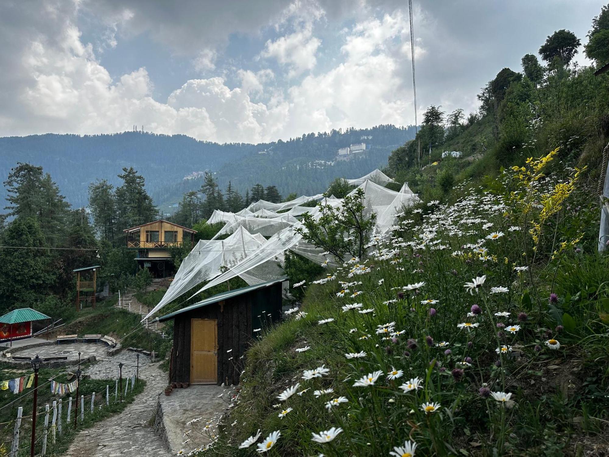 Daak Bangla Retreat Hotel Kúfri Kültér fotó