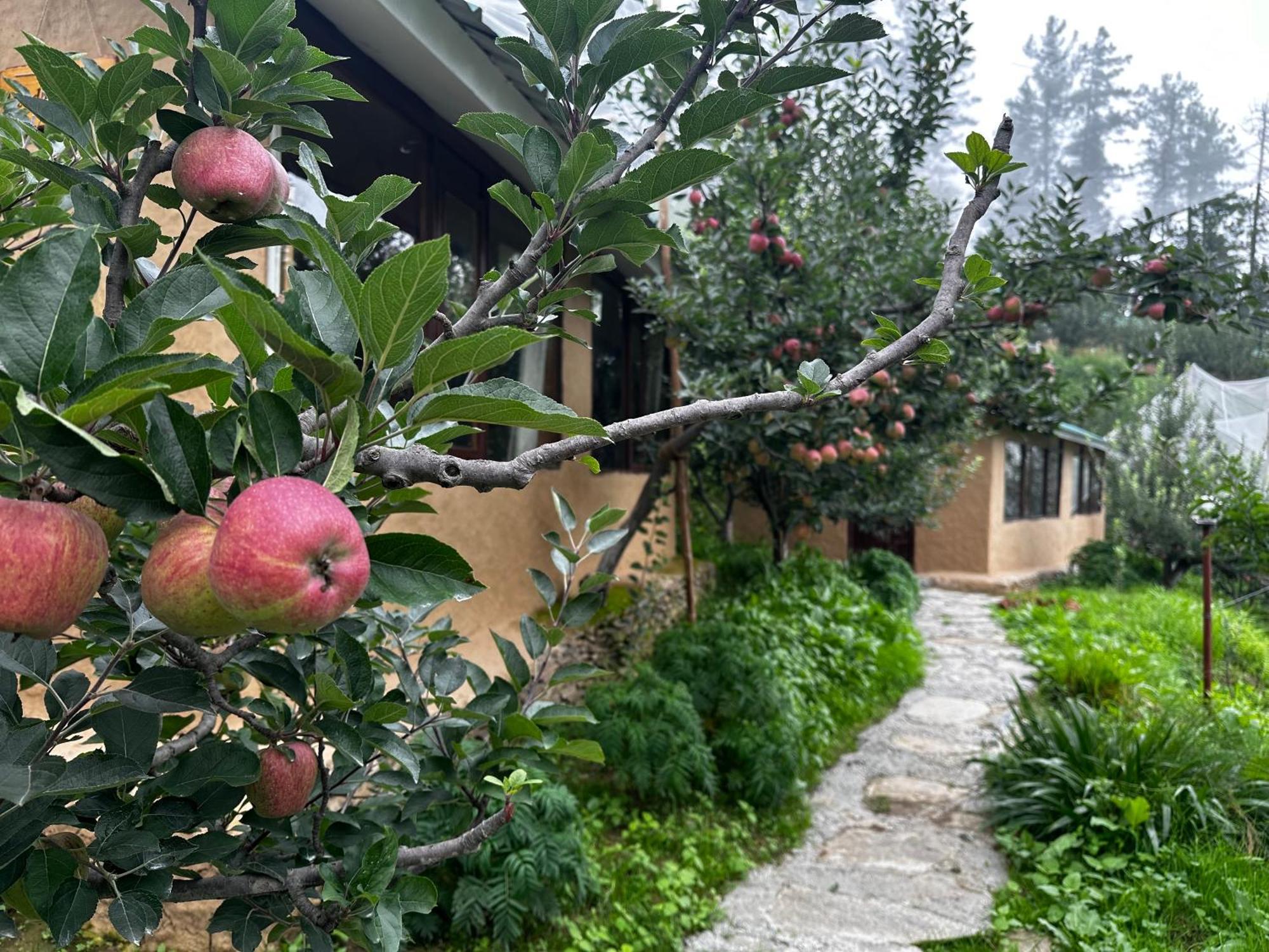 Daak Bangla Retreat Hotel Kúfri Kültér fotó