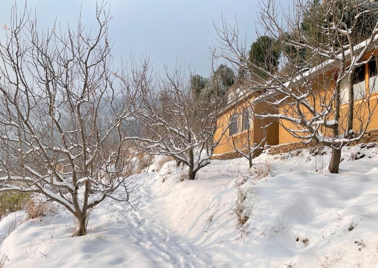 Daak Bangla Retreat Hotel Kúfri Kültér fotó